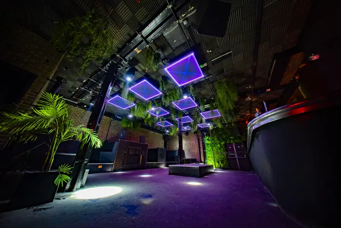 Room 2, The Jungle, upstairs at XOYO: plants hanging over purple LED squares, the bar to the right.